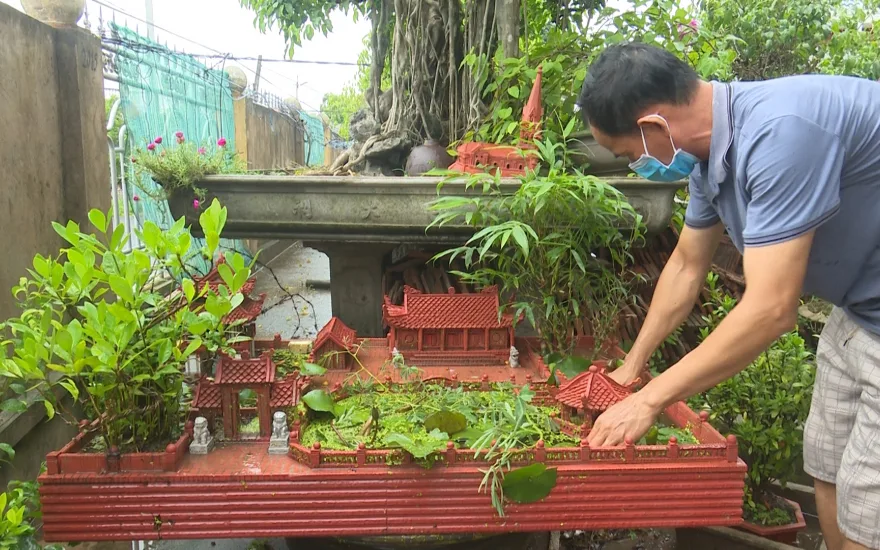 tieu-canh-san-vuon-nho-xinh-cho-khong-gian-them-sinh-dong